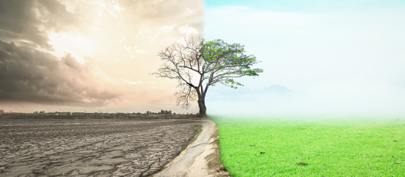 Split landscape with drought on the left and green, thriving land on the right.